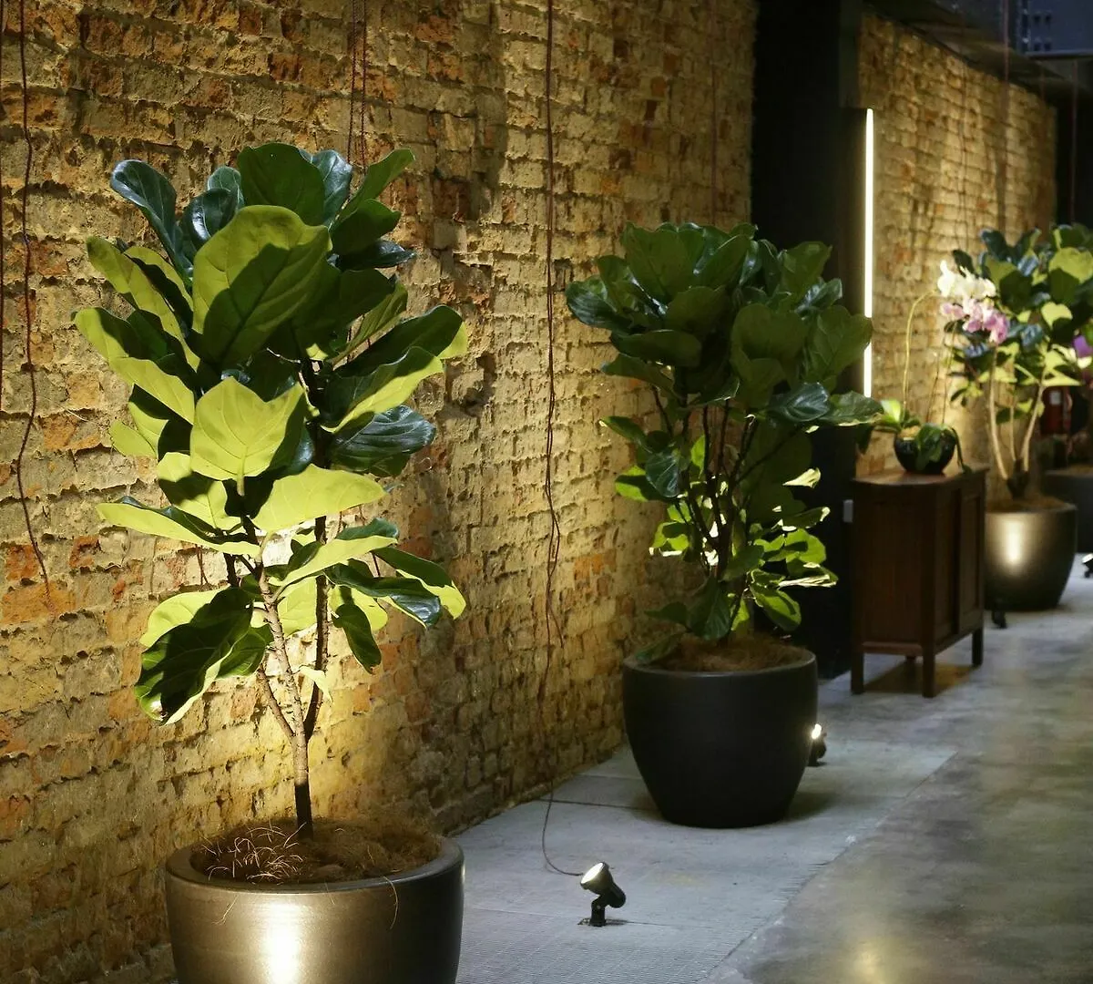 Tian Jing Hotel Kuala Lumpur 3*,  Malaysia